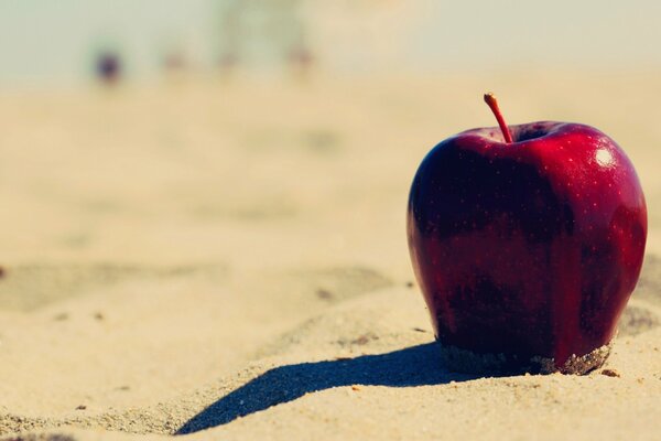 Red apple on the sand on the beach