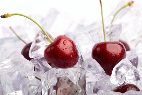 Cerezas con gotas de agua sobre hielo