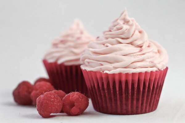 Cupcakes with cream and raspberries