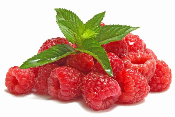 Raspberries with mint leaves. Berry-raspberry