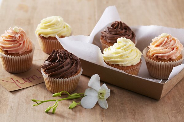 Pasteles de vainilla con flor de orquídea