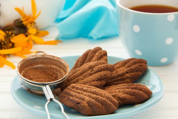 Cottura cosparsa di cacao in polvere in un piatto blu