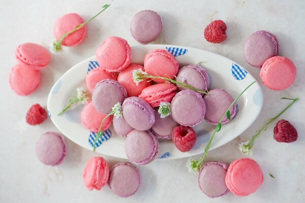 Pink and lilac cookies