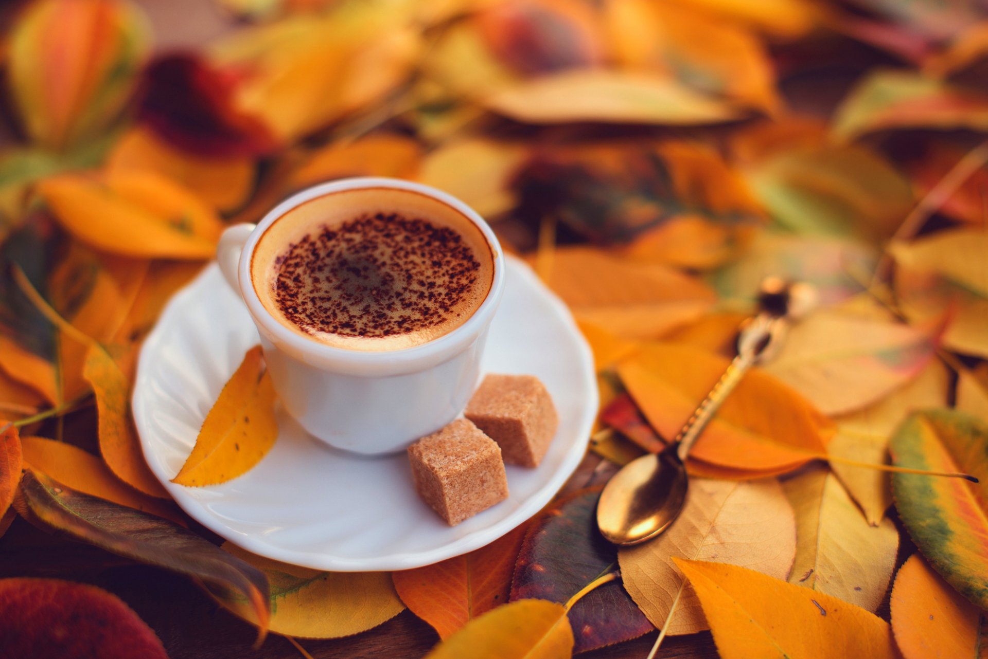 coffee foam chocolate cup saucer spoon sugar blocks leaves yellow autumn