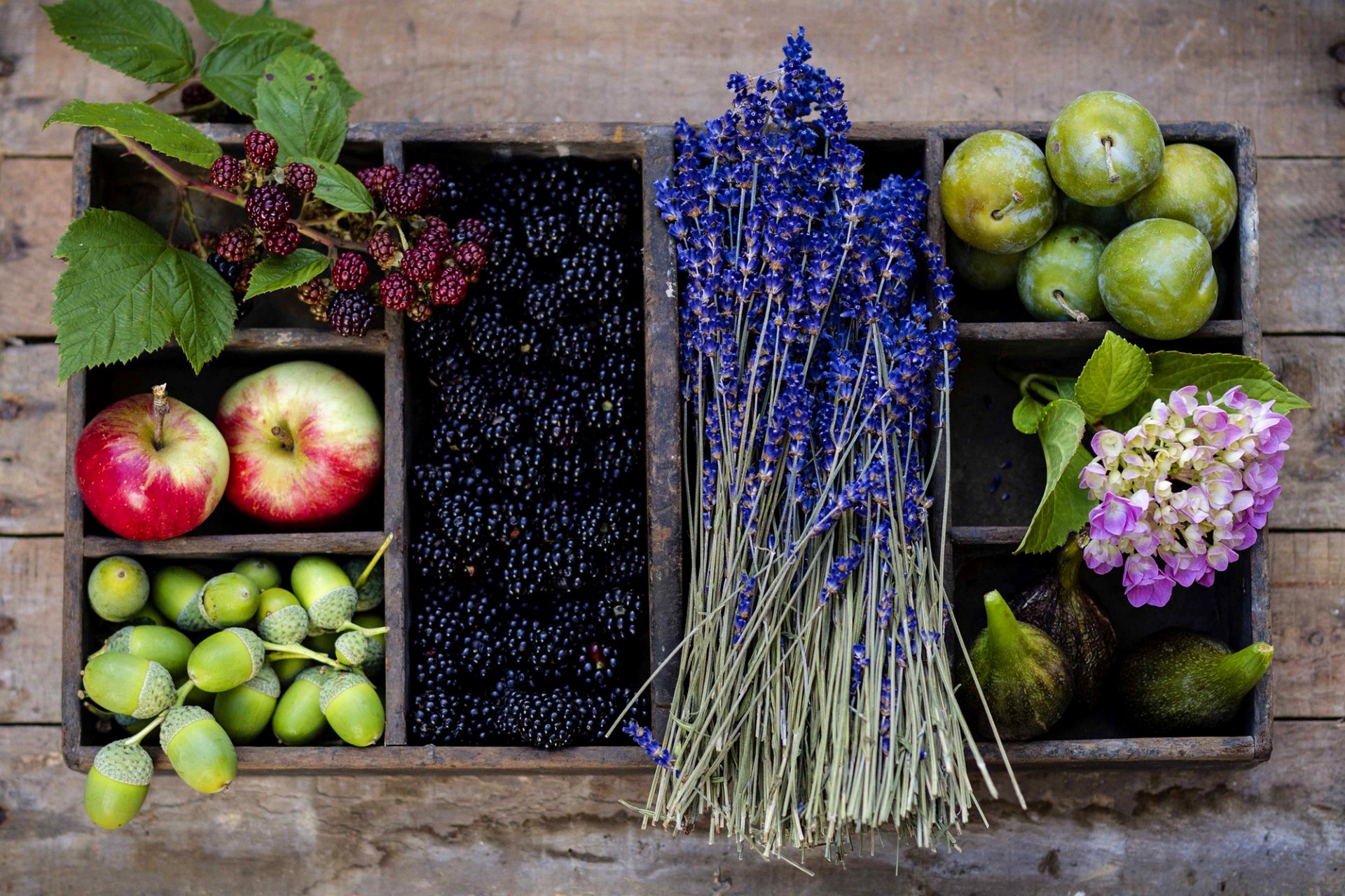 frutta mele prugne bacche more fiori lavanda cesto ghiande autunno