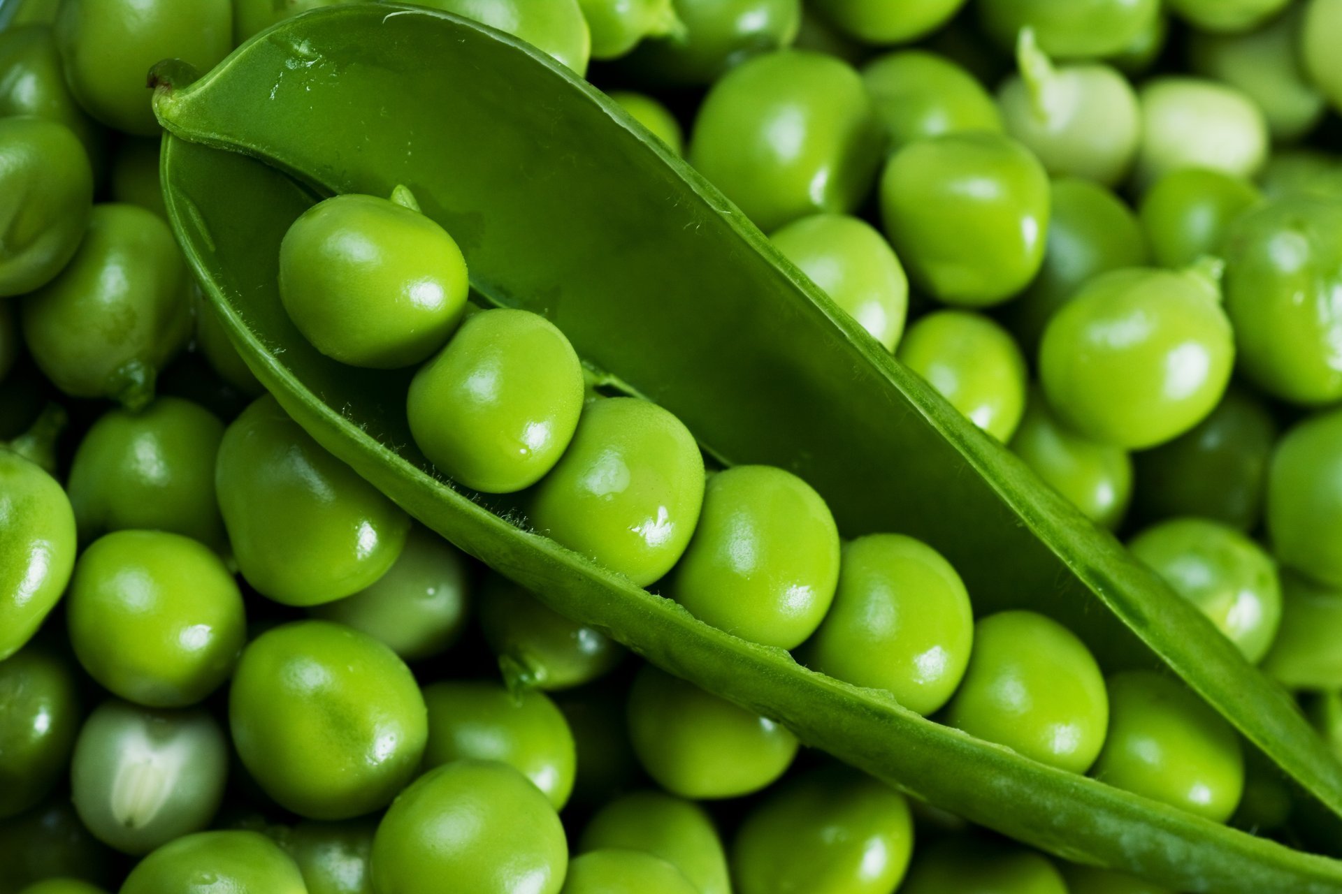 green peas peas pod table