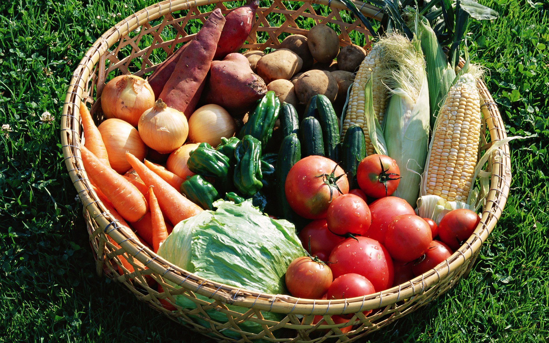 verduras cesta tomates repollo pepinos cebollas pimientos papas zanahorias maíz