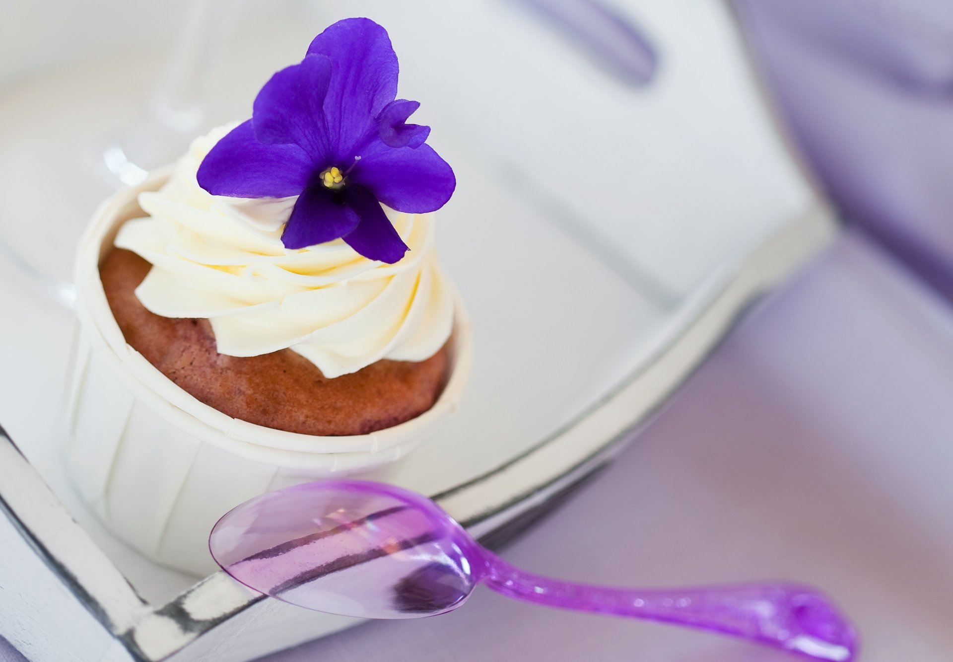 cupcake cake cream dessert sweet flower purple tray spoon