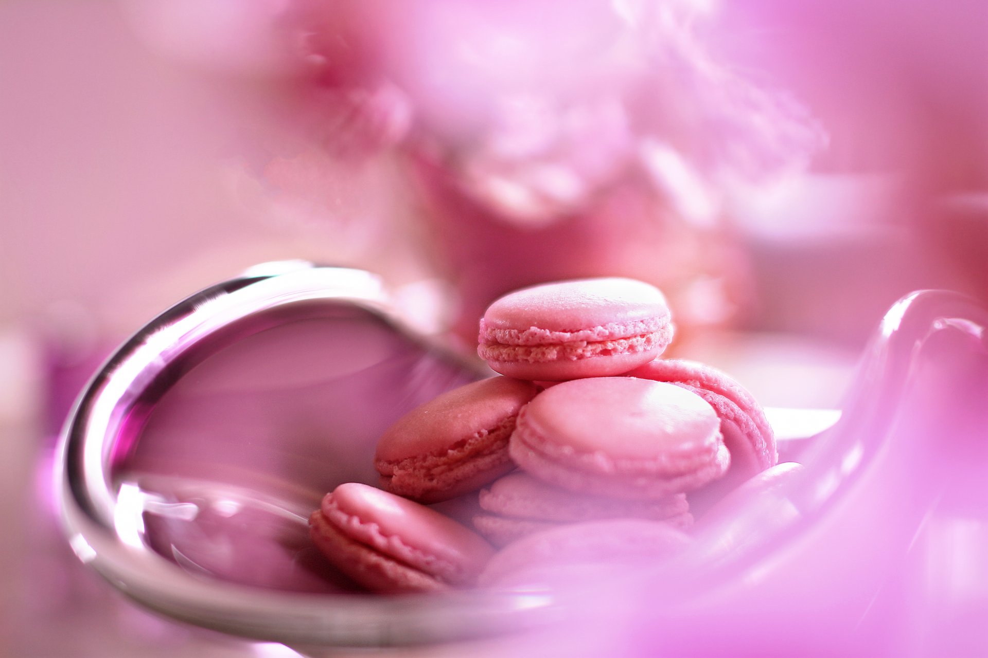 homemade macarons pink cake dish close up