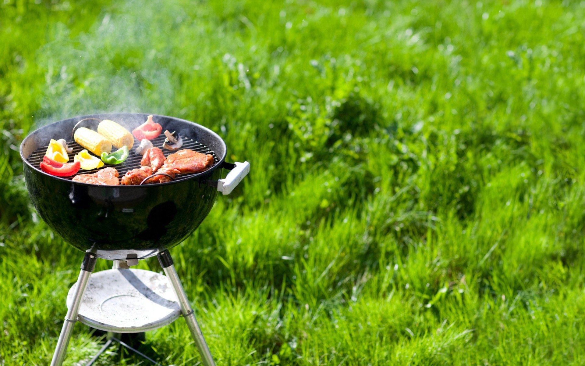 background grass picnic bbq nature sport