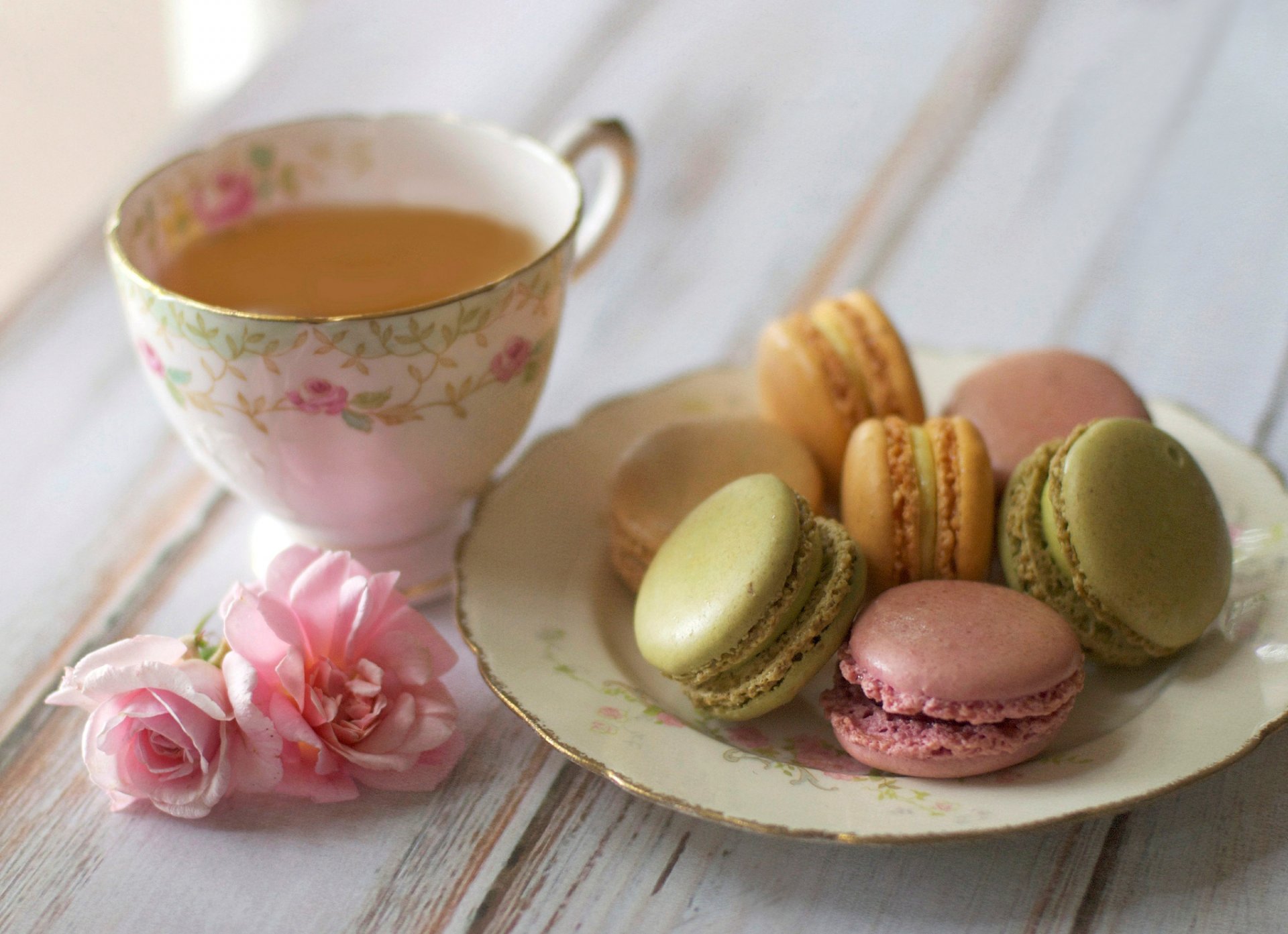 tea cup cookies macaron macaroon dish flower roses pink