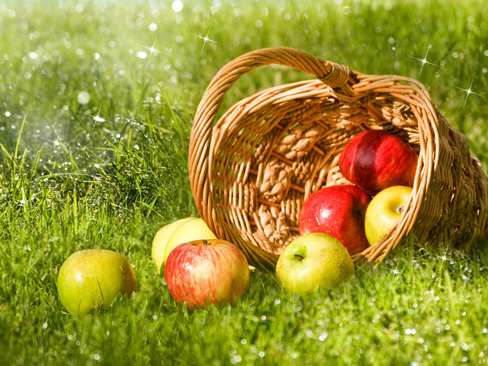 apples green red fruits shopping grass rosa drops reflections bokeh