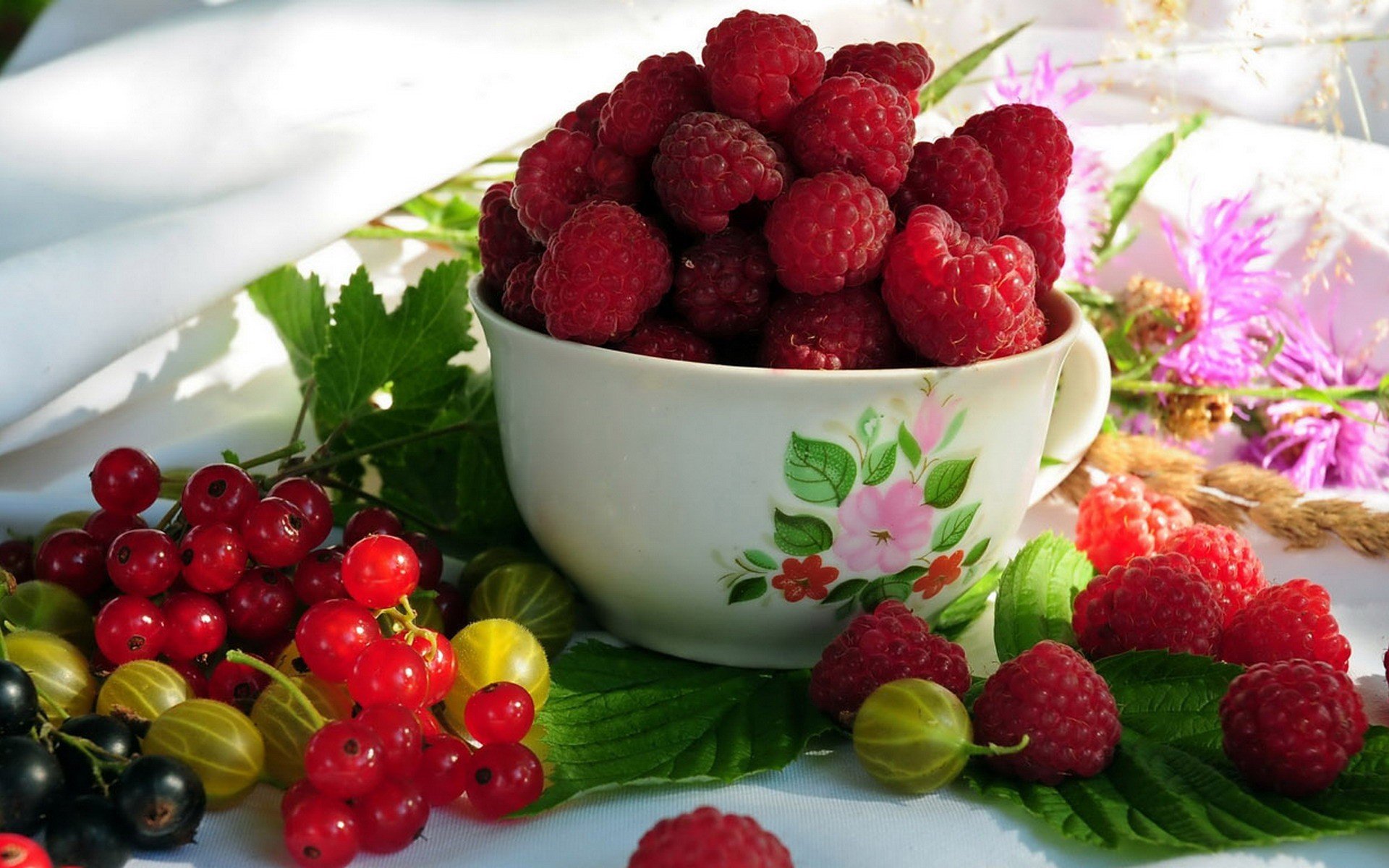 framboises groseilles rouges groseilles à maquereau baies délicieux