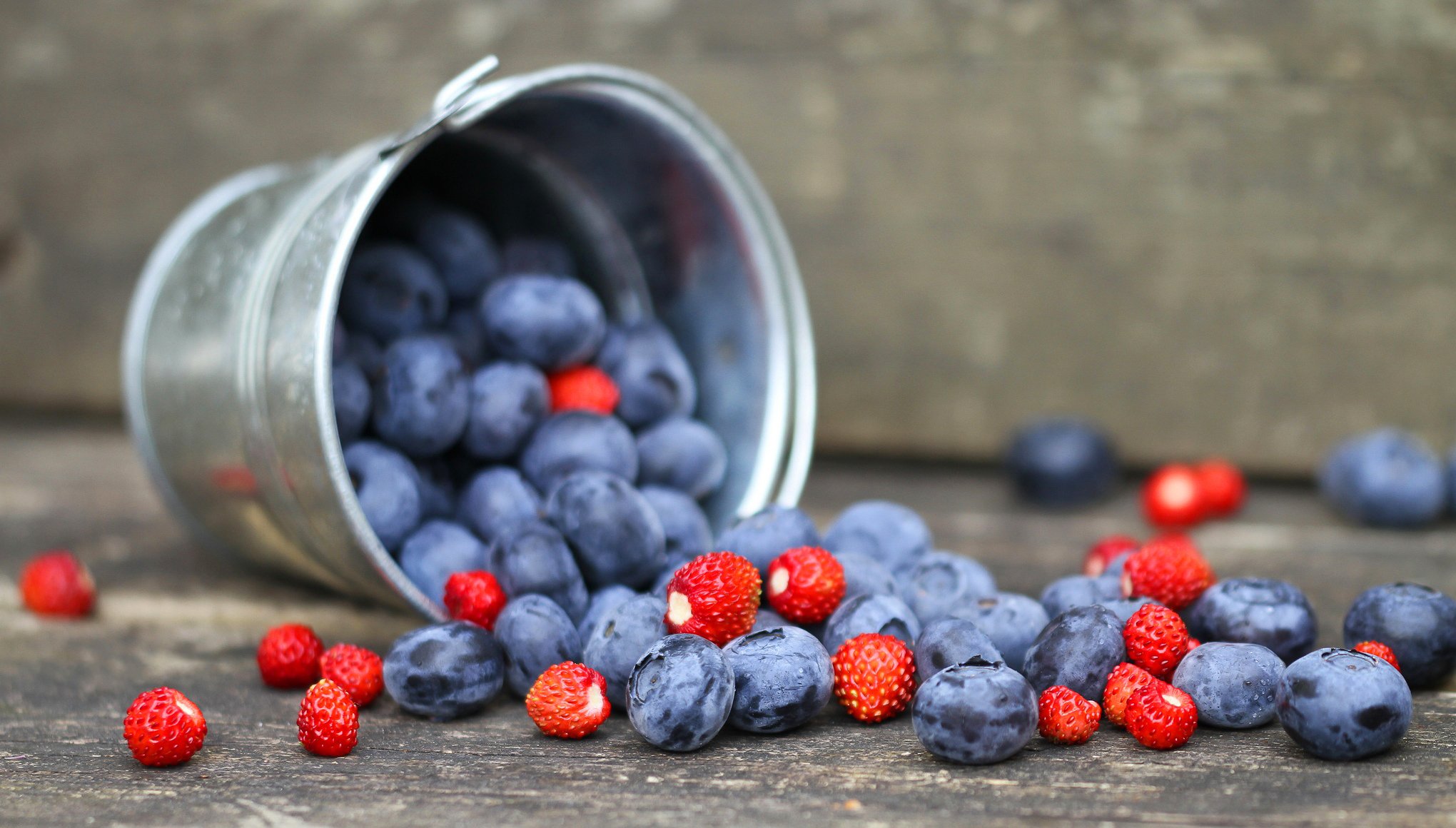 arándanos fresas bayas