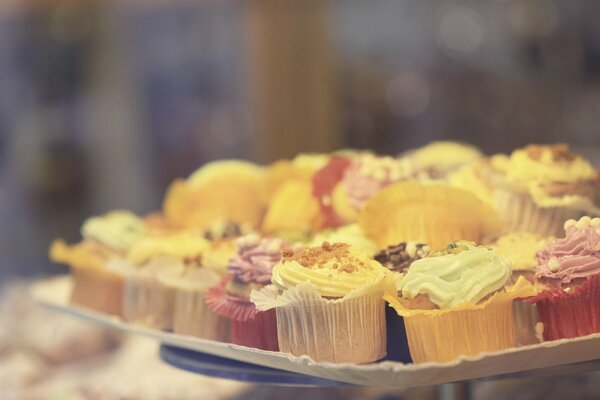 Different cream cakes on a plate