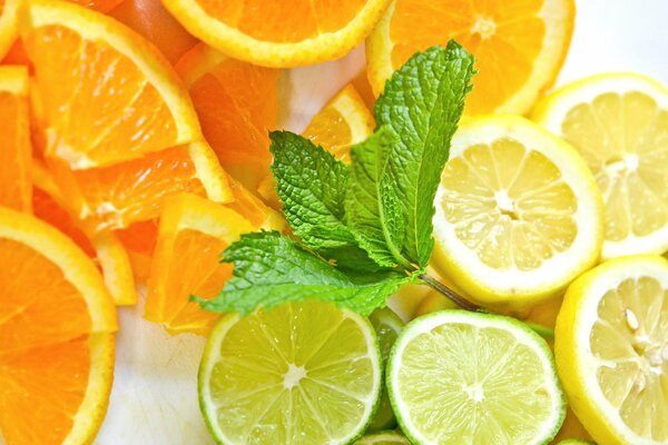 Fresh citrus slices with mint leaf