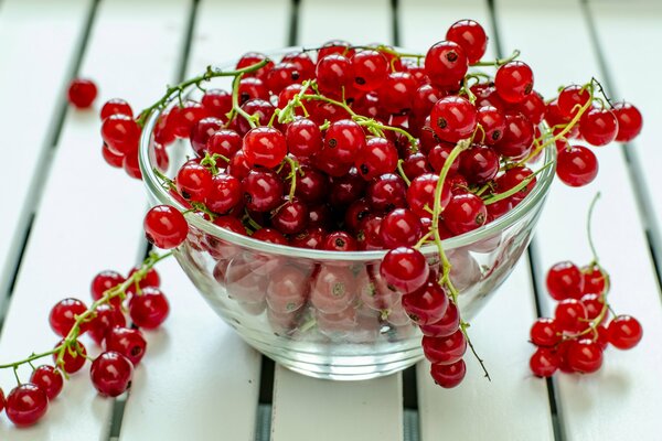 Teller mit roten Johannisbeeren