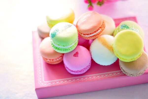 Colorful macaron cookies in a box