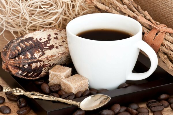 Una taza de café en un platillo marrón, en una dispersión de granos de café