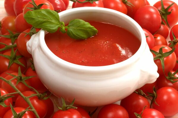 Tureen with tomato soup and tomatoes around