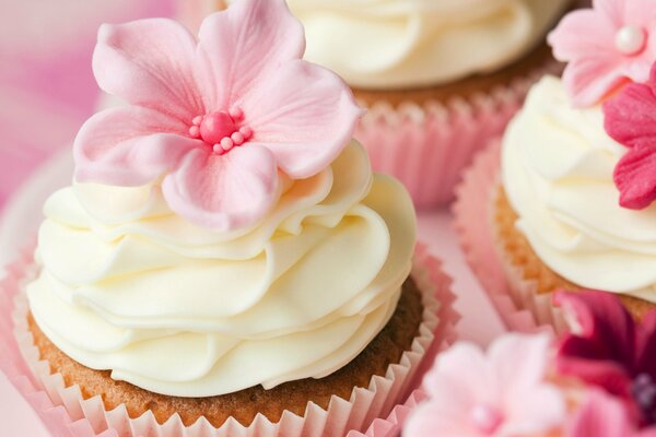 Pasteles de crema rosa