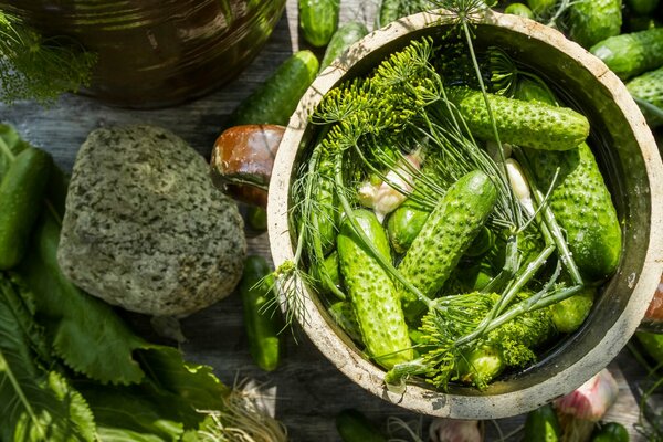 Lightly salted cucumbers according to the traditional recipe