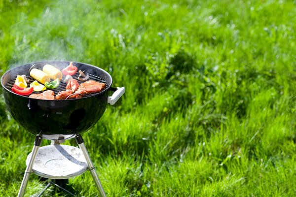 Relajarse con una parrilla en la naturaleza