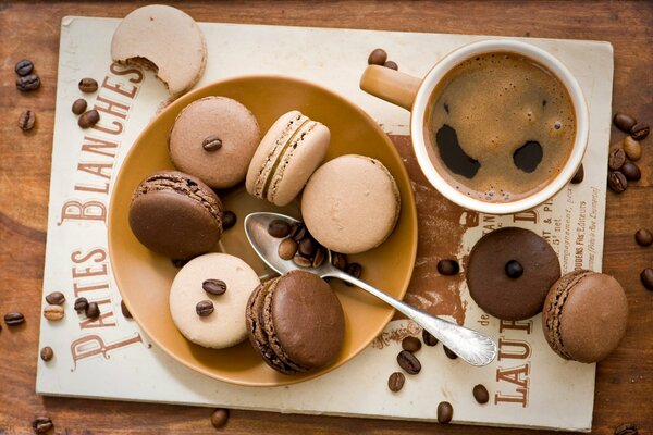 Postre de chocolate a una taza de café