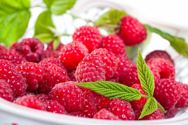 Ein Teller mit saftigen Himbeeren mit Blättern