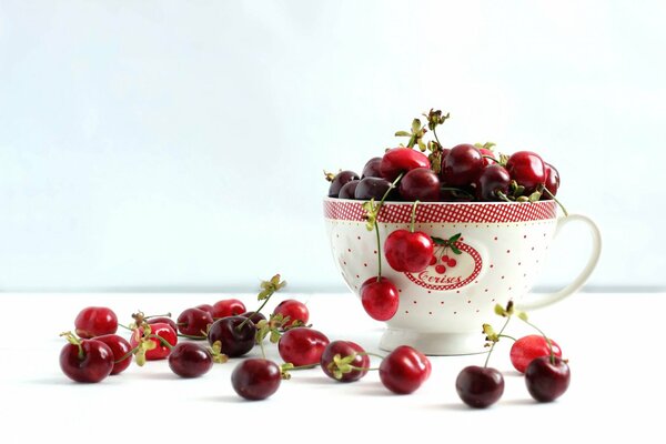 Taza llena de cerezas maduras