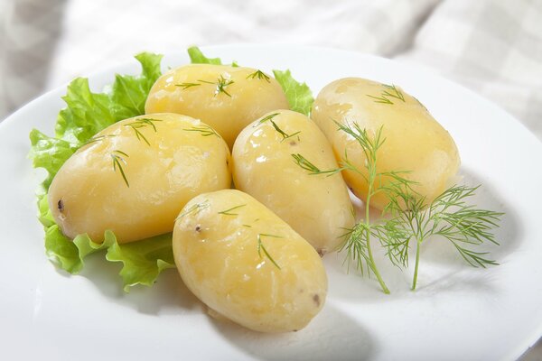 Leckere gekochte Kartoffeln mit Butter und Dill