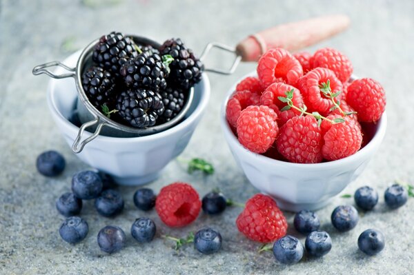 Photo compositions of berries on a gray background