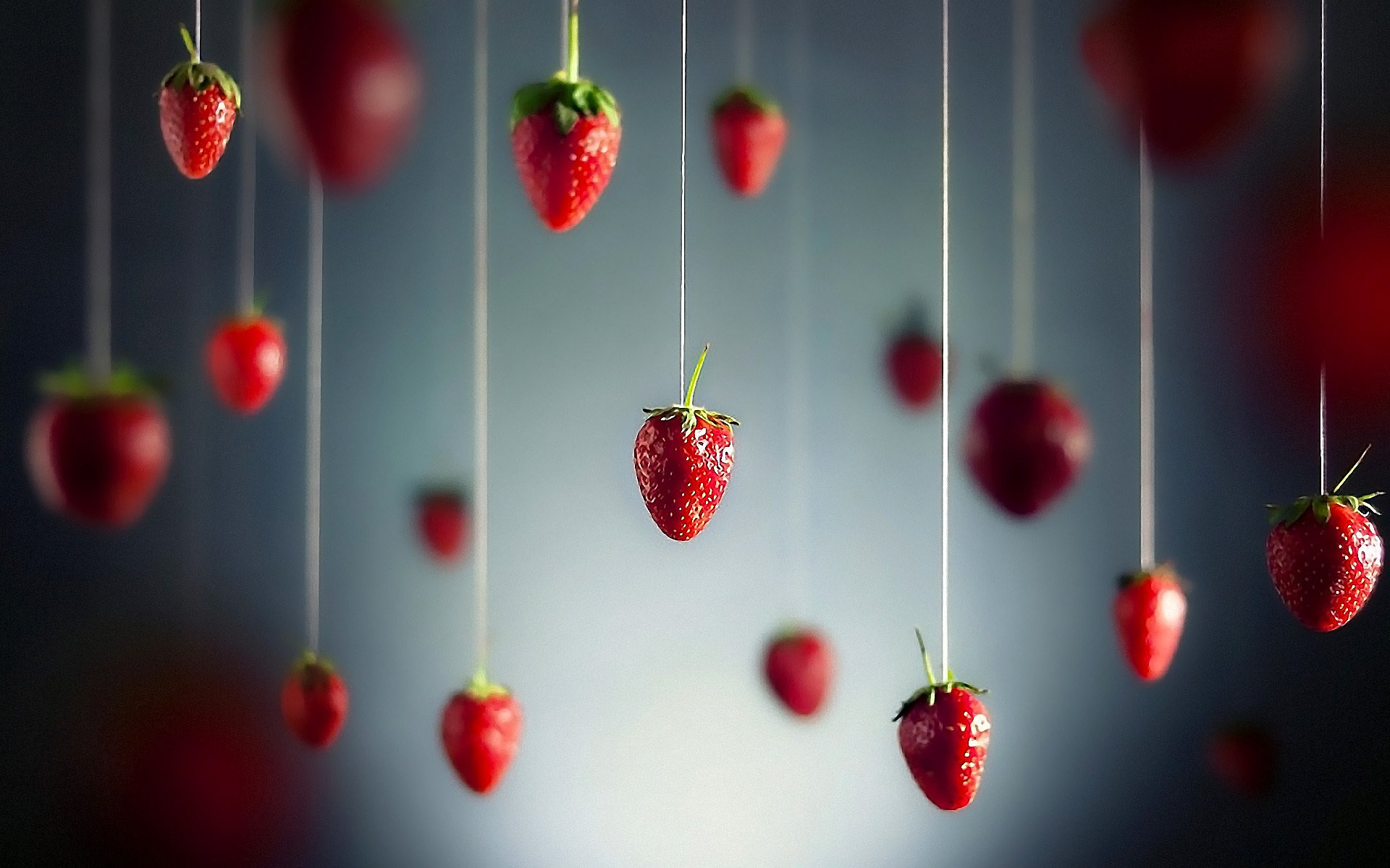 trawberry berries thread