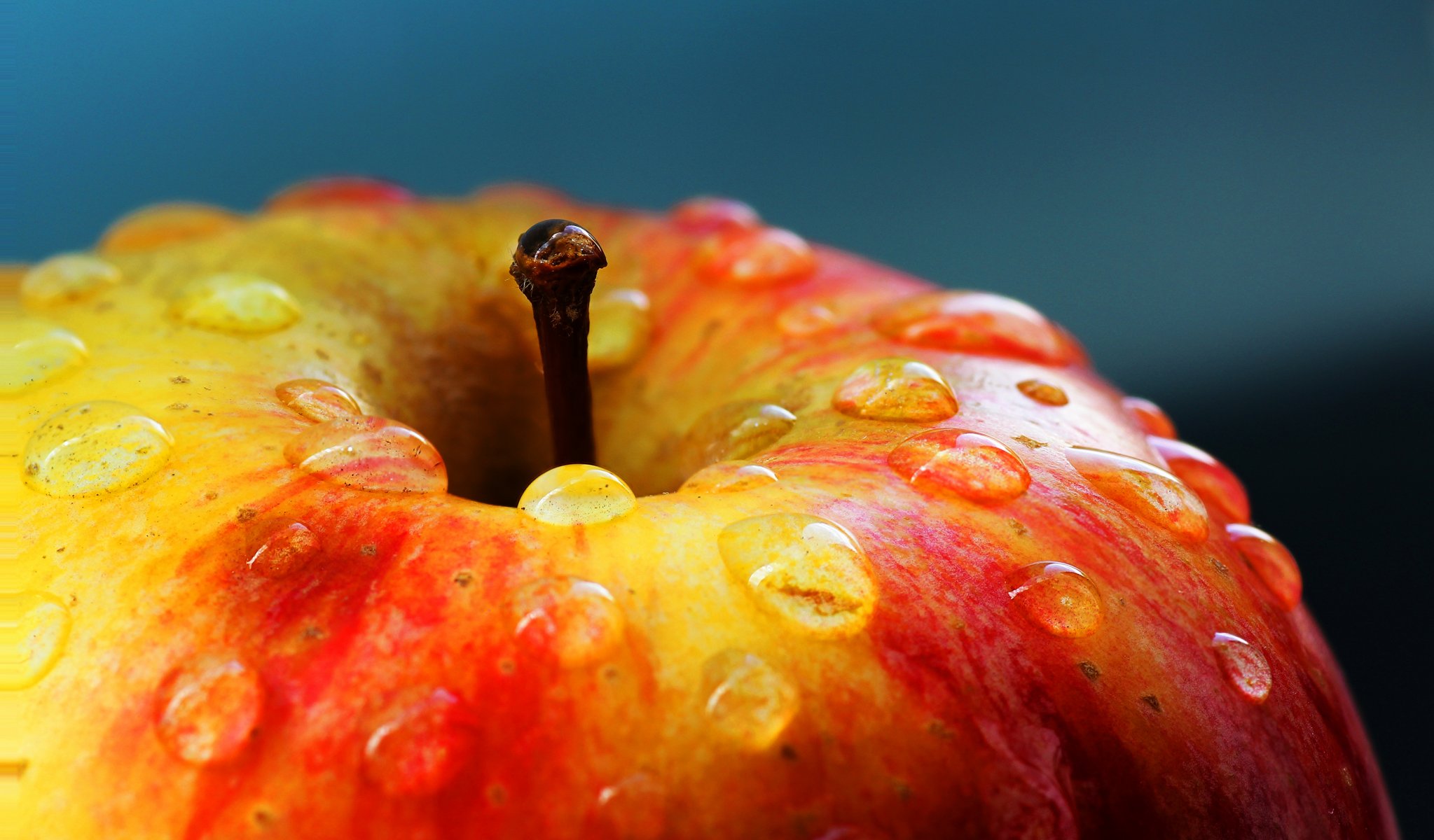 apfel tropfen makro