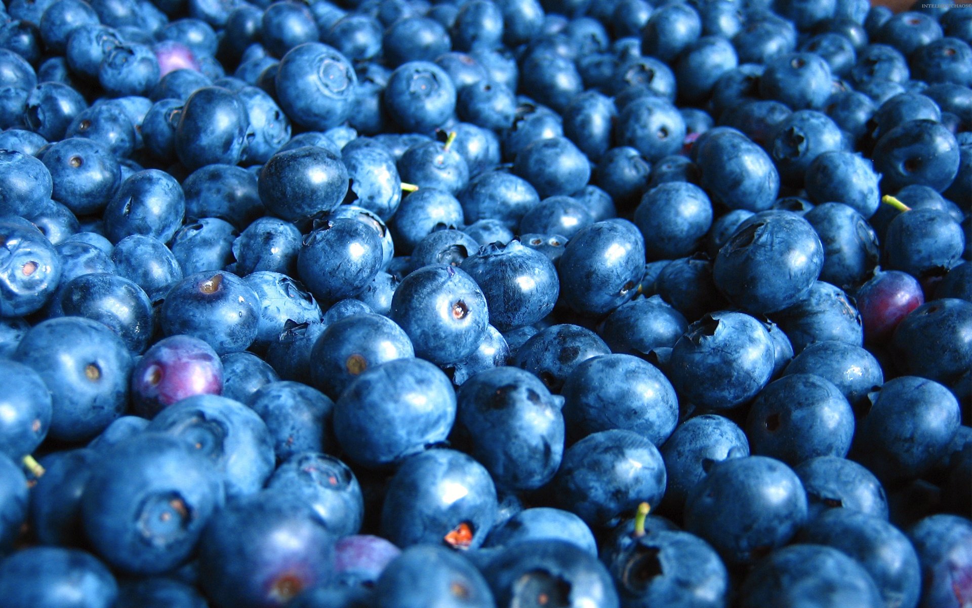 blueberries fruit berries food food