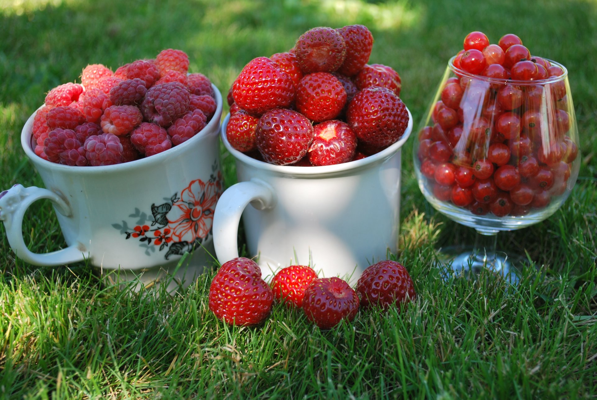 beeren himbeeren johannisbeeren rot erdbeeren datscha tassen tassen weinglas gras makro