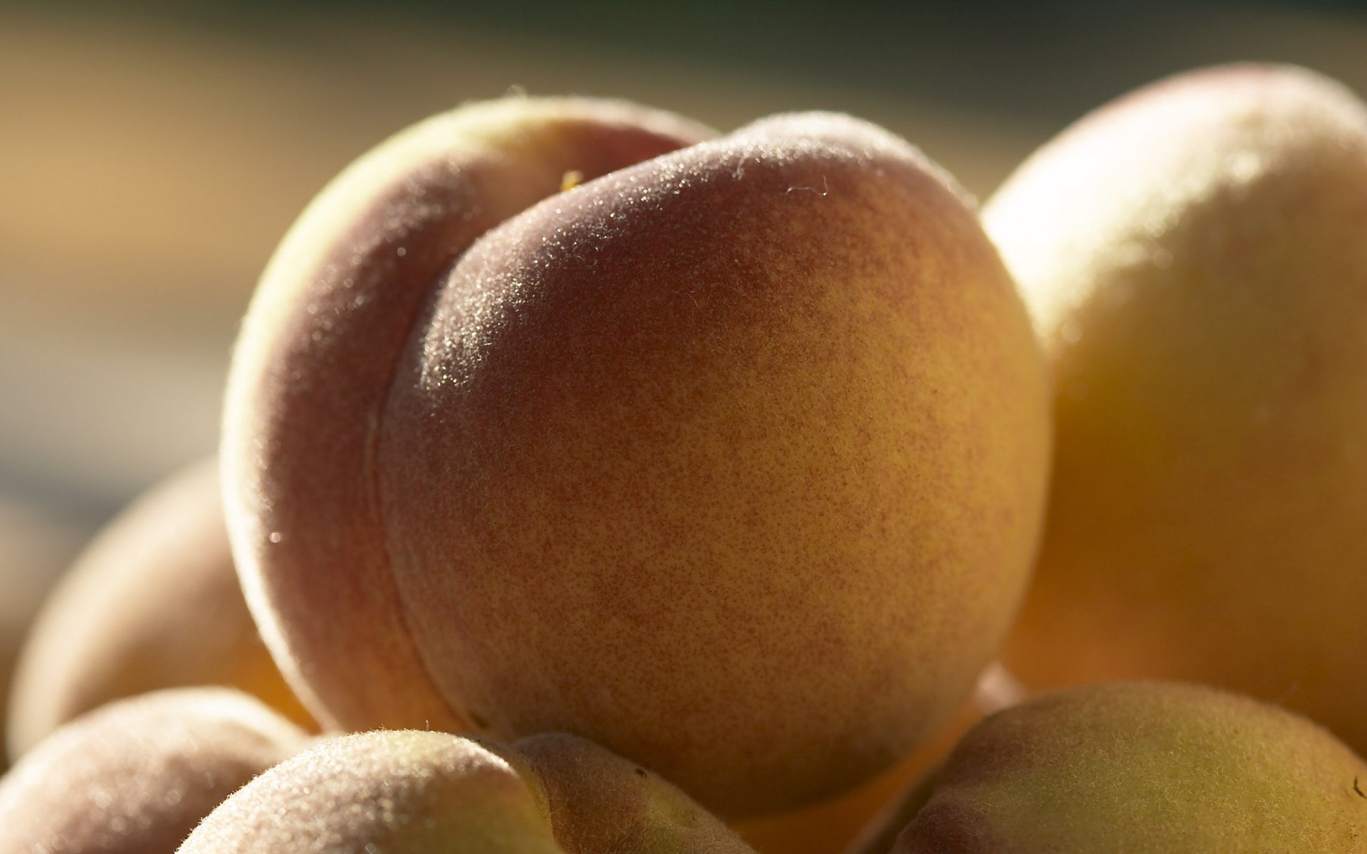 fruit fruit pêches appétissant poilu fruits macro pêche cul