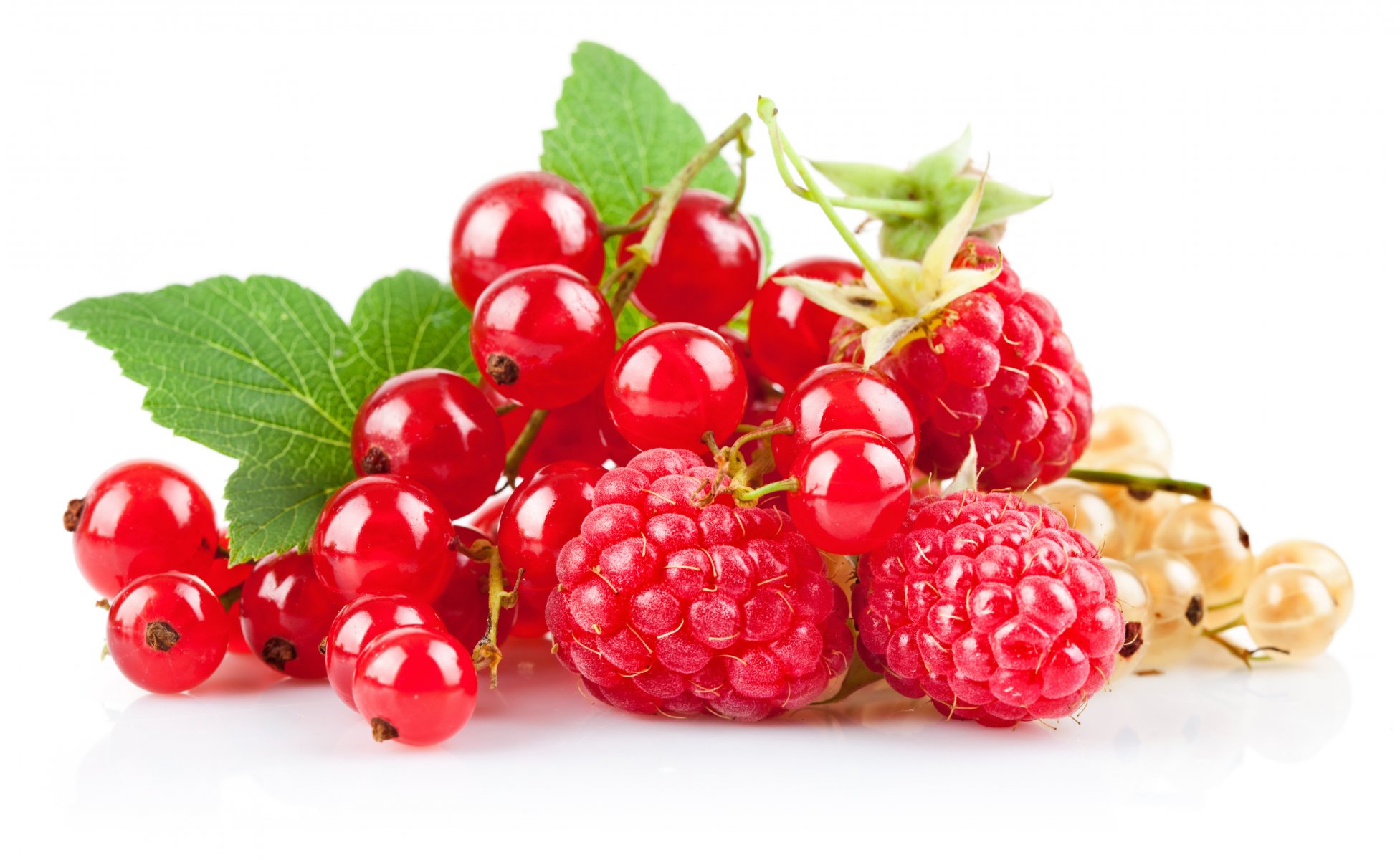 beeren himbeeren rote johannisbeeren weiße johannisbeeren