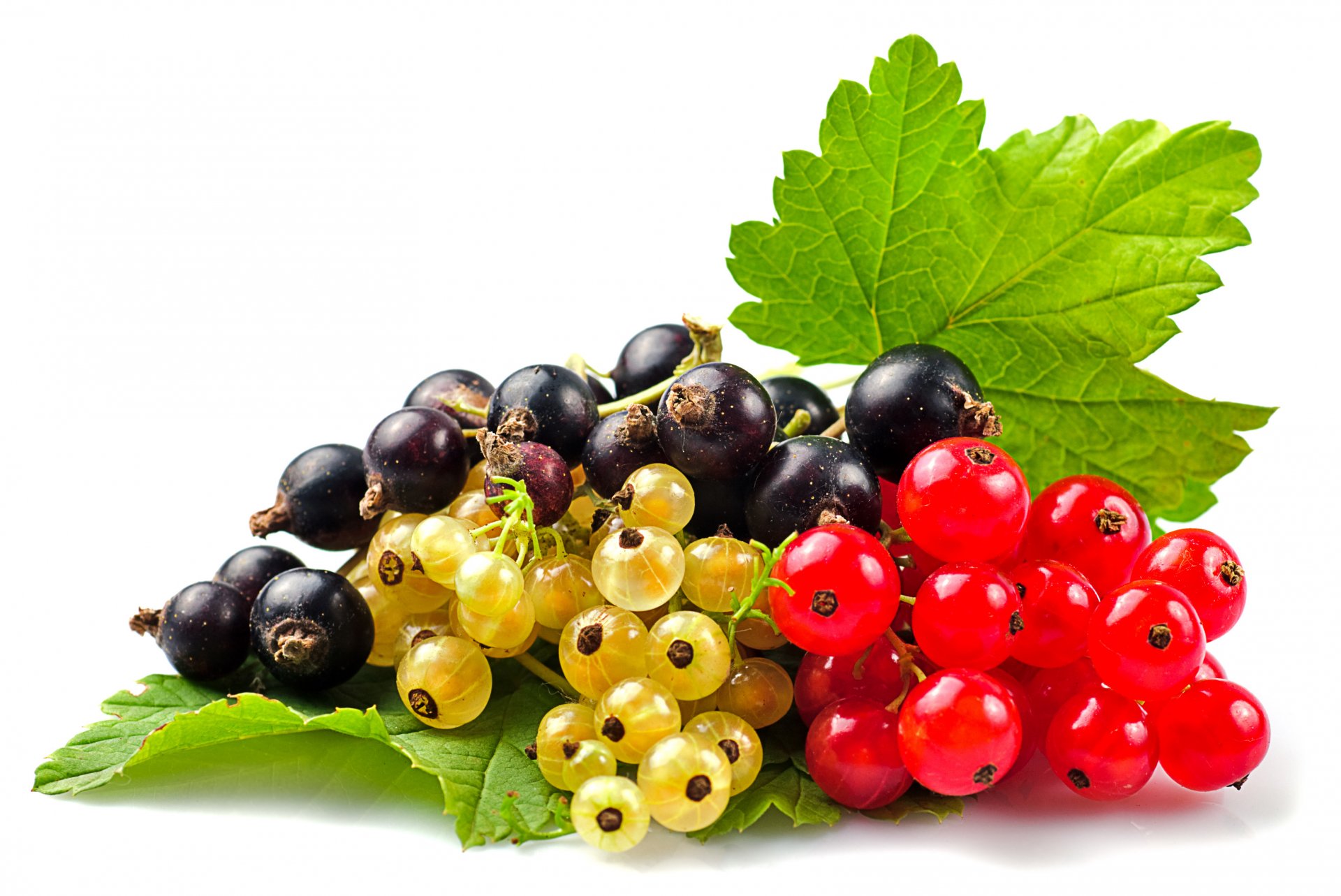 white currants red currant berrie