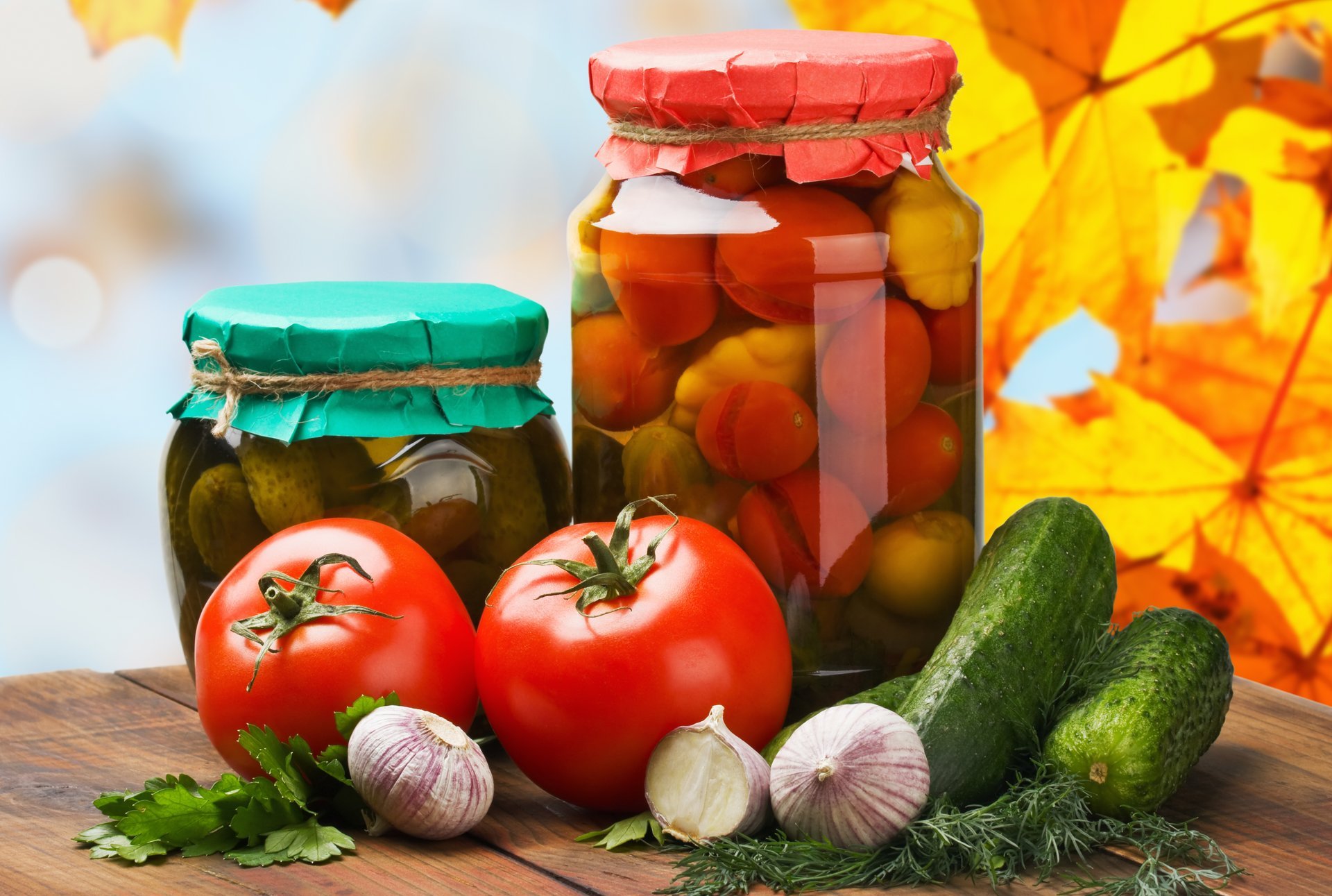 table pots raznosols ail aneth légumes verts concombres tomates feuilles veines automne