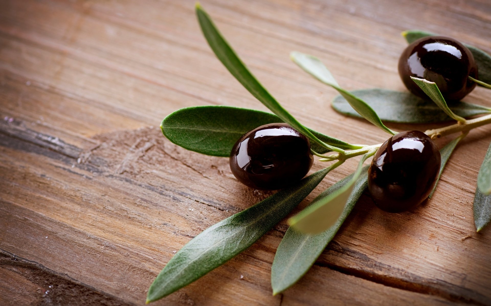 food olives black green tree