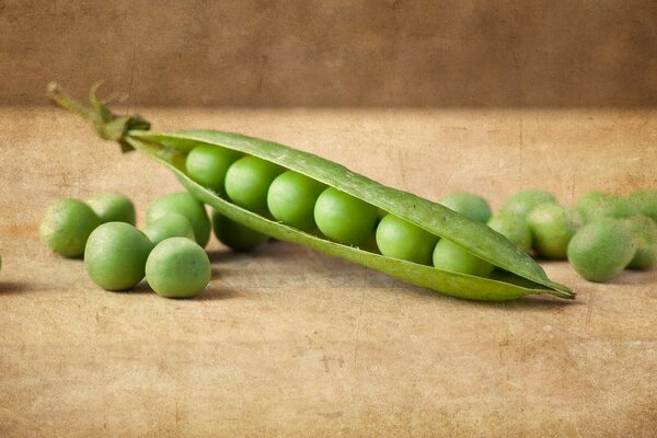 Pod of green peas close-up