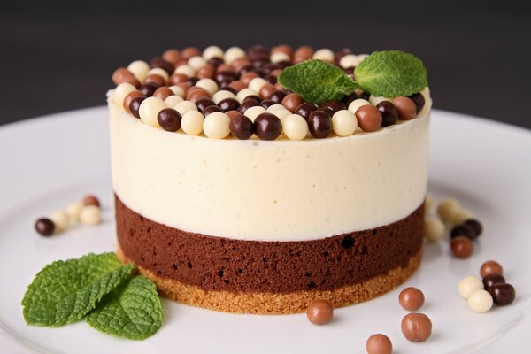 Gâteau au chocolat à deux couches avec des boules saupoudrées