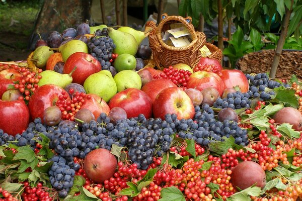 Una colorida montaña de frutas con un sapo de dinero en su cima