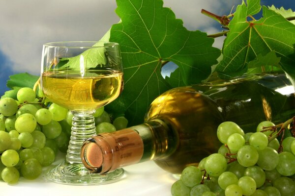 Вино виноградное, гроздь винограда