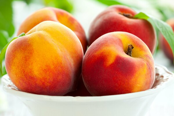 Tender peaches, the ripeness of summer