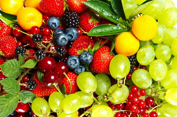 Composition of summer sweet berries