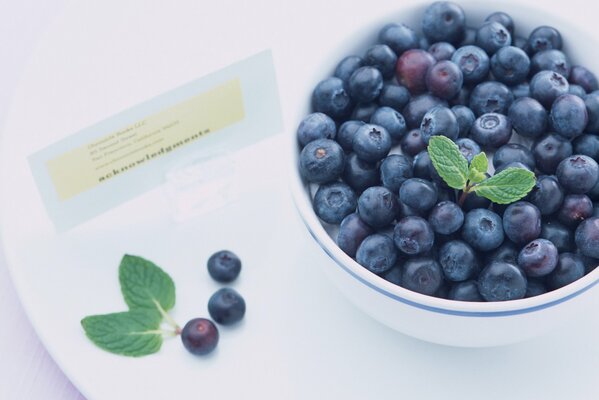 A plate of blueberries with mint leaves