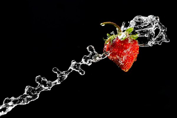 Fresas en un chorro de agua sobre un fondo negro