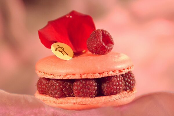 Pink cake with a layer of whole raspberries